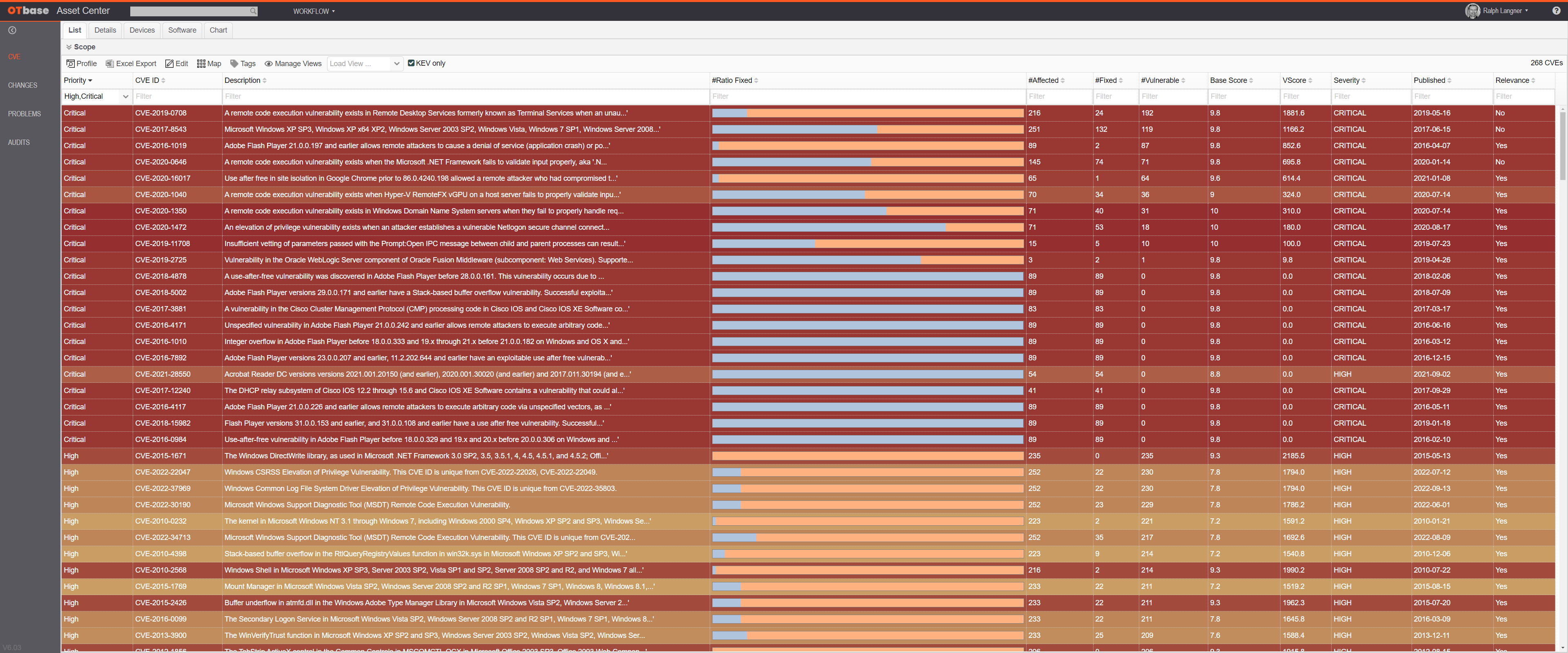 What is the CVE list?